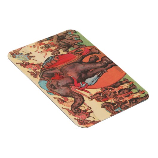 Olifanten optreden met vrouwen en trainers. magneet (Rechterzijde)