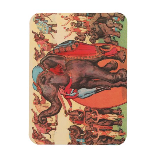 Olifanten optreden met vrouwen en trainers. magneet (Verticaal)