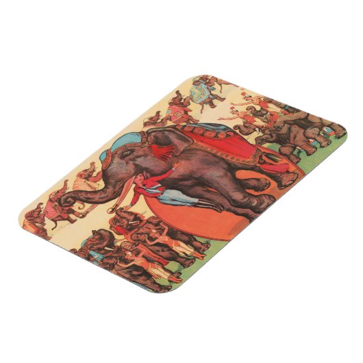 Olifanten optreden met vrouwen en trainers. magneet (Linkerzijde)