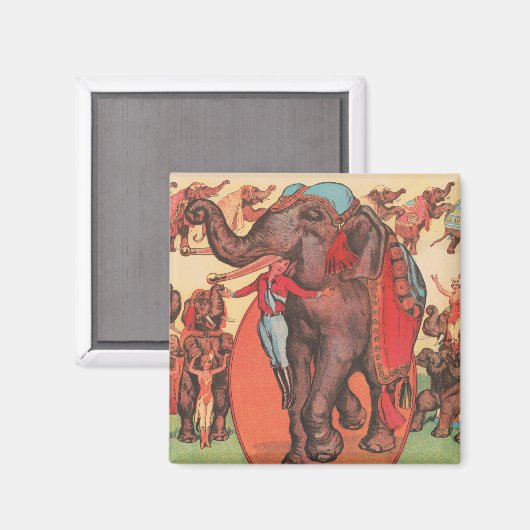 Olifanten optreden met vrouwen en trainers. magneet (Voorkant / Achterkant)