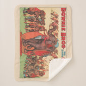 Olifanten optreden met vrouwen en trainers. sherpa deken (Voorkant)