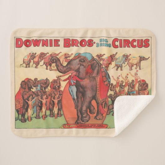 Olifanten optreden met vrouwen en trainers. sherpa deken (Voorkant (horizontaal))