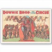 Olifanten optreden met vrouwen en trainers. sticker (Voorkant)