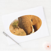 Olifanten Ovale Sticker (Envelop)