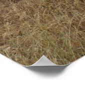 Olifanten Poster (Hoek)