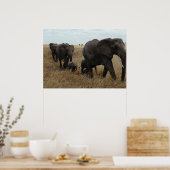 Olifanten Poster (Keuken)