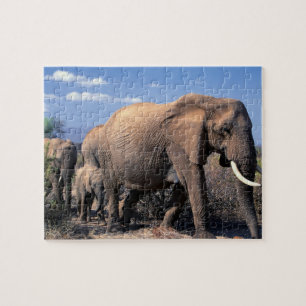 Olifanten Raadsel Legpuzzel