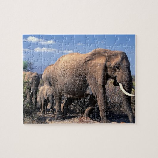 Olifanten Raadsel Legpuzzel (Horizontaal)