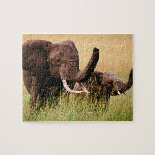 Olifanten Raadsel Legpuzzel (Horizontaal)
