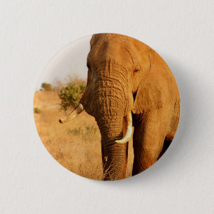 Olifanten Ronde Button 5,7 Cm