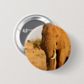 Olifanten Ronde Button 5,7 Cm (Voorkant /achterkant)