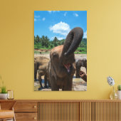 Olifanten Sri Lanka Canvas Afdruk (Insitu (Woonkamer))