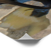 Olifanten Sri Lanka Poster (Hoek)