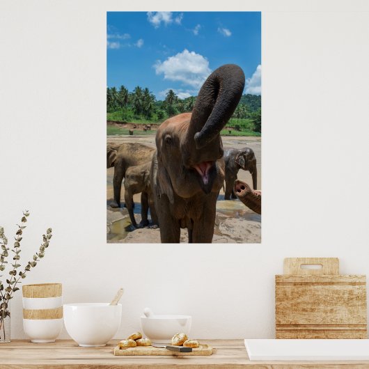 Olifanten Sri Lanka Poster (Keuken)