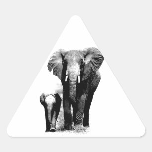 Olifanten Sticker