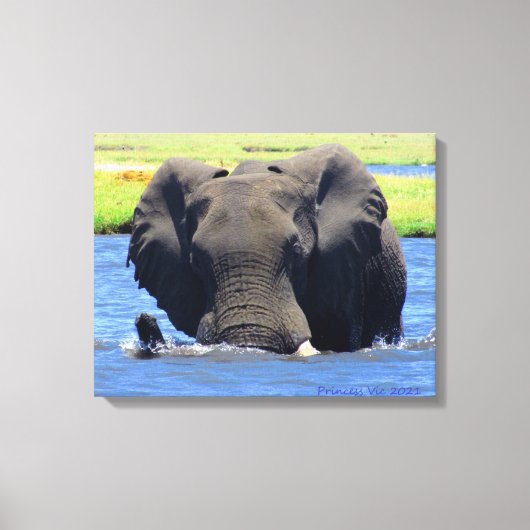 Olifanten van Chobe Canvas Afdruk (Voorkant)