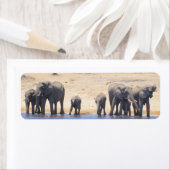 Olifanten van Chobe Retour Adreslabels Etiket (Insitu)