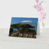 Olifanten van de berg Kilimanjaro Folie Wenskaart (Orchidee)