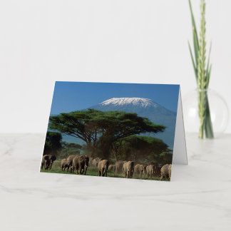 Olifanten van de Mt. Kilimanjaro Folie Wenskaart