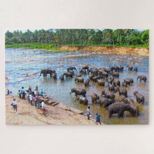Olifanten van Sri Lanka. Jigzaag Puzzle Legpuzzel