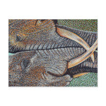 Olifanten Vergeten Nooit