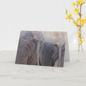 Olifanten Wenskaart Kaart (Gele Bloem)