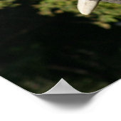 Olifantenaffiche Poster (Hoek)