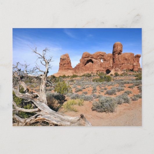 Olifantendans bij Arches National Park Briefkaart (Voorkant)