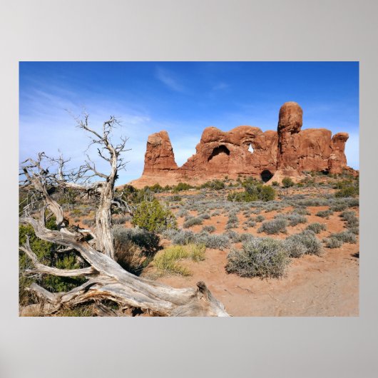 Olifantendans bij Arches National Park Poster (Voorkant)
