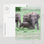 olifantenfamilie briefkaart (Voorkant / Achterkant)