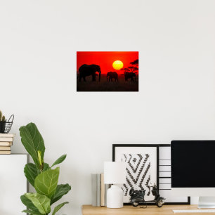 Olifantenfamilie in zonsondergang poster