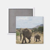 olifantenfamilie magneet (Voorkant / Achterkant)
