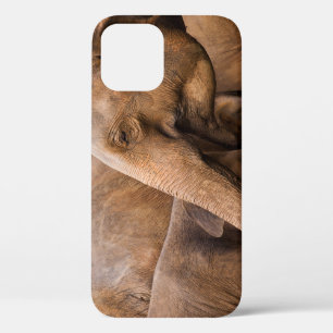 Olifantenfamilie: Majestic Wildlife Case-Mate iPhone Case