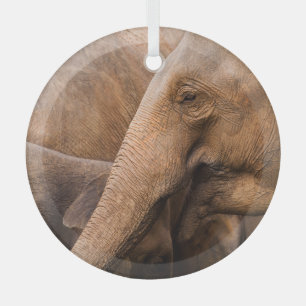 Olifantenfamilie: Majestic Wildlife Glas Ornament