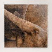 Olifantenfamilie: Majestic Wildlife Legpuzzel (Horizontaal)