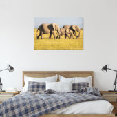 Olifantenfamilie Wandelen Canvas Afdruk (Insitu (Slaapkamer))