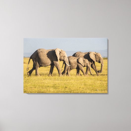 Olifantenfamilie Wandelen Canvas Afdruk (Voorkant)