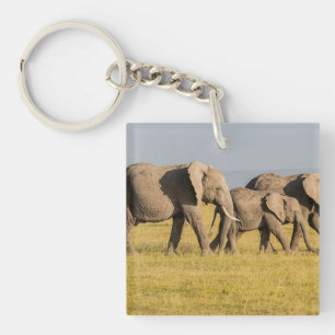 Olifantenfamilie wandelt sleutelhanger