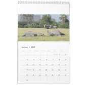 Olifantengedragskalender Kalender (Jan 2027)