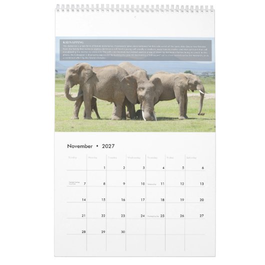 Olifantengedragskalender Kalender (Nov 2027)