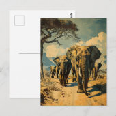 Olifantenkudde  briefkaart (Voorkant / Achterkant)
