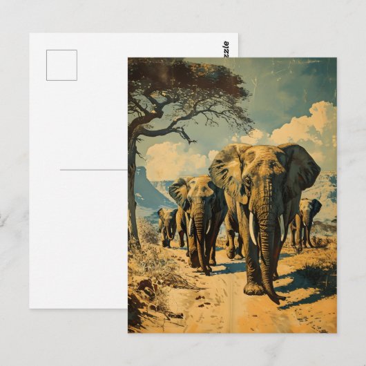 Olifantenkudde  briefkaart (Voorkant / Achterkant)
