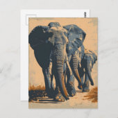  Olifantenkudde: Sereniteit in Natuur Briefkaart (Voorkant / Achterkant)