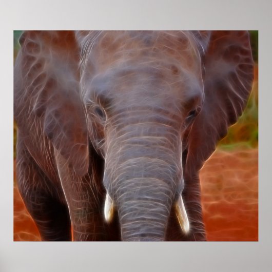 Olifantenlading Poster (Voorkant)