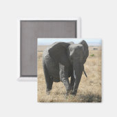 olifantenloop magneet (Voorkant / Achterkant)