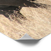 olifantenmasai poster (Hoek)