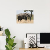 olifantenmasai poster (Thuiskantoor)