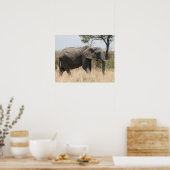 olifantenmasai poster (Keuken)