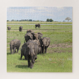 Olifantenmigratie Legpuzzel