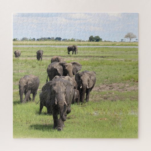 Olifantenmigratie Legpuzzel (Verticaal)